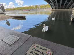 photo-2026-01-18-09-31-34 7